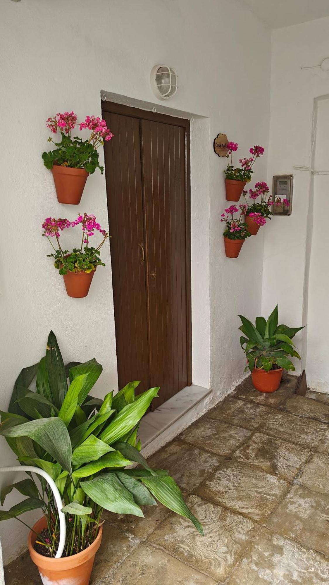 Casa Malia Apartamento Recien Reformado En Centro Vejer de la Frontera Buitenkant foto